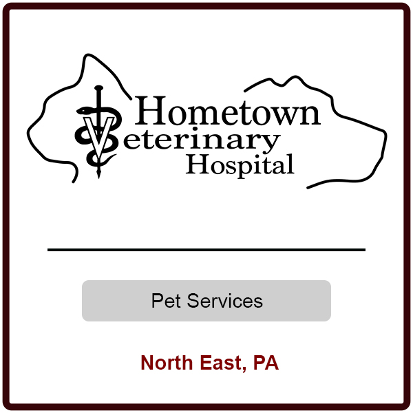 Hometown Vet Hospital Redo 11.18.22